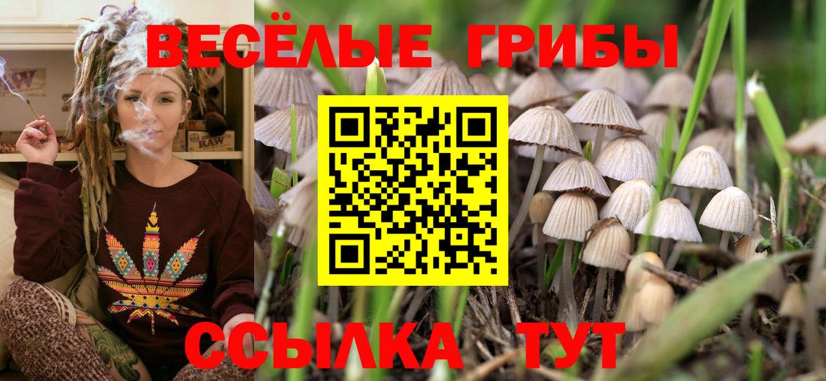 Псилоцибиновые грибы Magic Shrooms Усть-Джегута